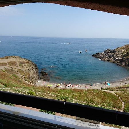 Portvendres Sea View Apartamento Port Vendres Exterior foto